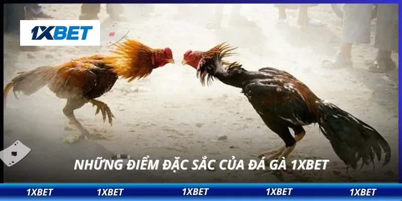 Những điểm đặc sắc của đá gà 1XBET