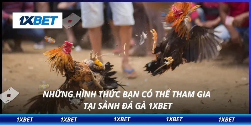 Những hình thức bạn có thể tham gia tại sảnh đá gà 1XBET